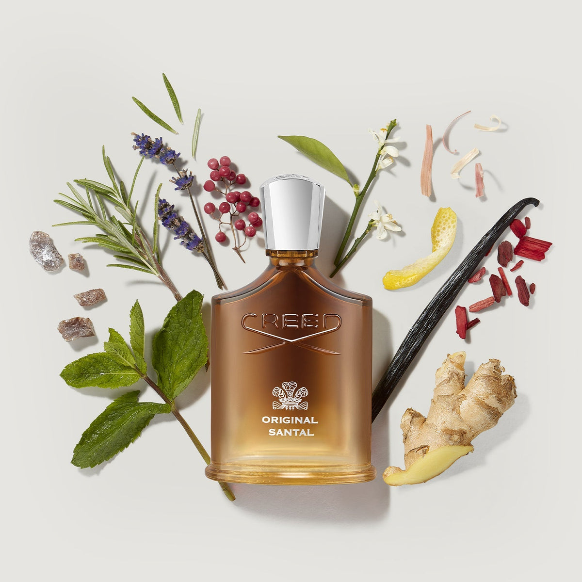 Original Santal 100ml fragrance notes