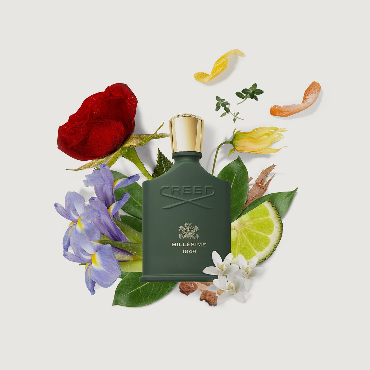 millesime 1849 on grey with fragrance notes